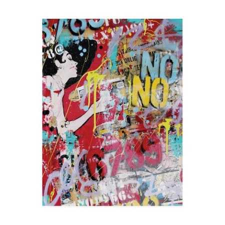 David Drioton 'No Graffiti' Canvas Art,18x24